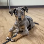 89219e_87a5507bf353452aa54ae26fb6d144ba-mv2 (6)