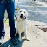 89219e_d53ba19316b94b27941fe7880383818f-mv2 (6)