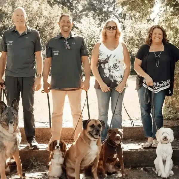 Service Dog Training | Service Dog Trainers in New York